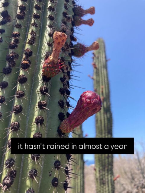 nature is the best artist.