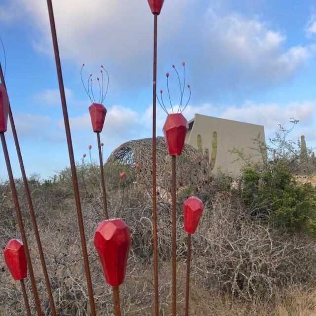 No watering required to keep these bright red ceramic flowers blooming all year long. Inspired by ocotilla flowers, this ceramic and steel sculpture is ready to be transplanted into your garden! Local delivery and installation included, drop us a message if you’re interested!