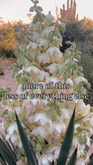 art + nature 🌵💚