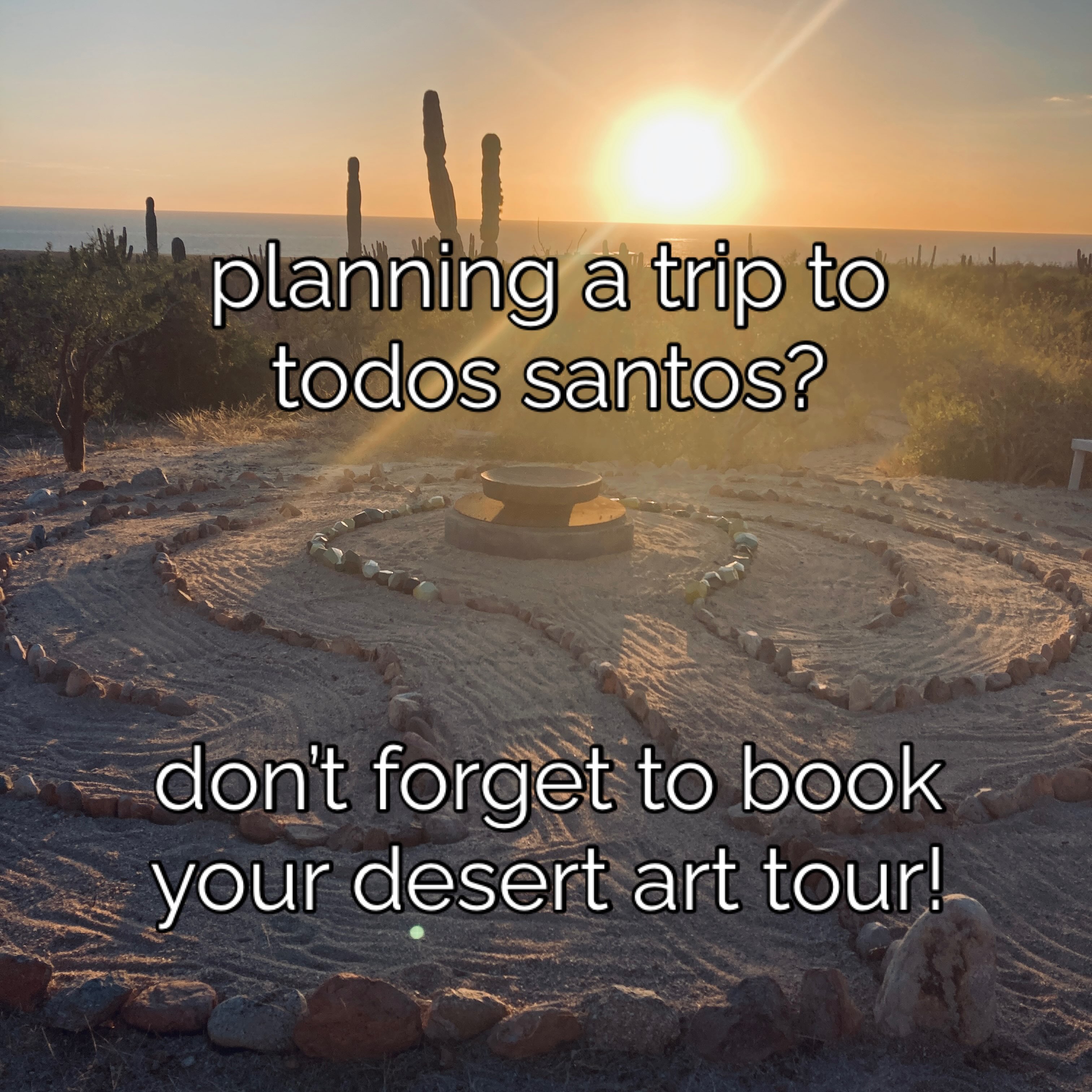 worth every dusty kilometer from town link in bio to book your tour 🌵💫