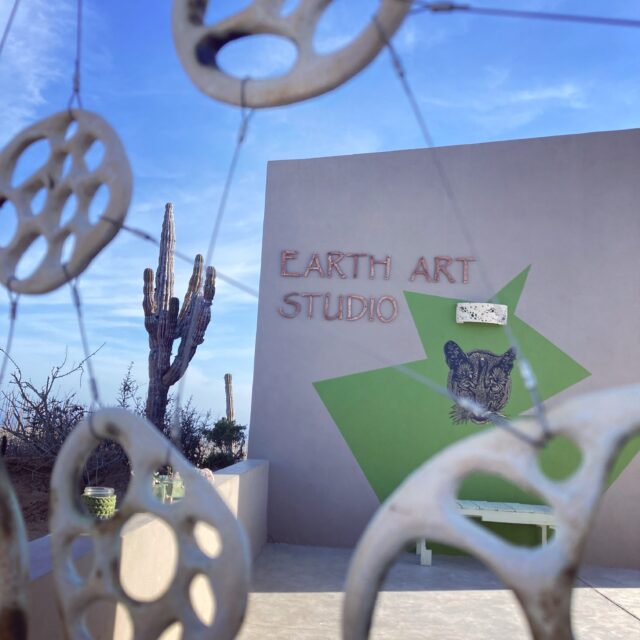Come visit us at the studio!
#earthartstudio
#whereartandnaturemeet #inspiredbynarure