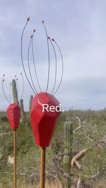 art + nature #earthartstudio #todossantos