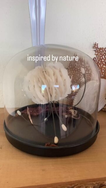 Taking a shelfie in the studio today.Porcelain work by @jenniwardart #whereartandnaturemeet #earthartstudio #inspiredbynature #todossantosbcs
