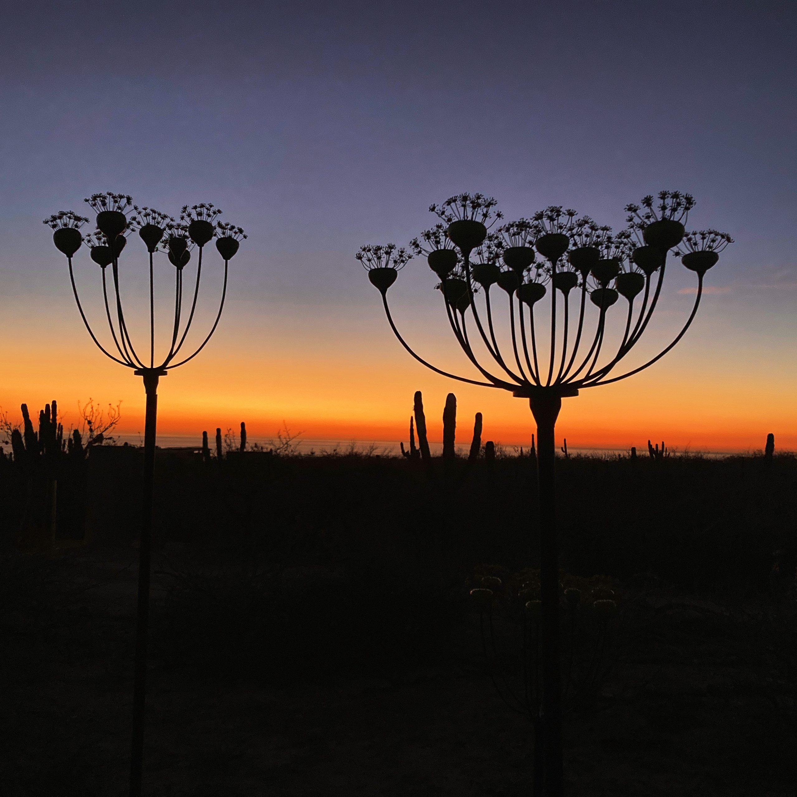 Earth Art Studio where art + nature meet | Todos Santos BCS