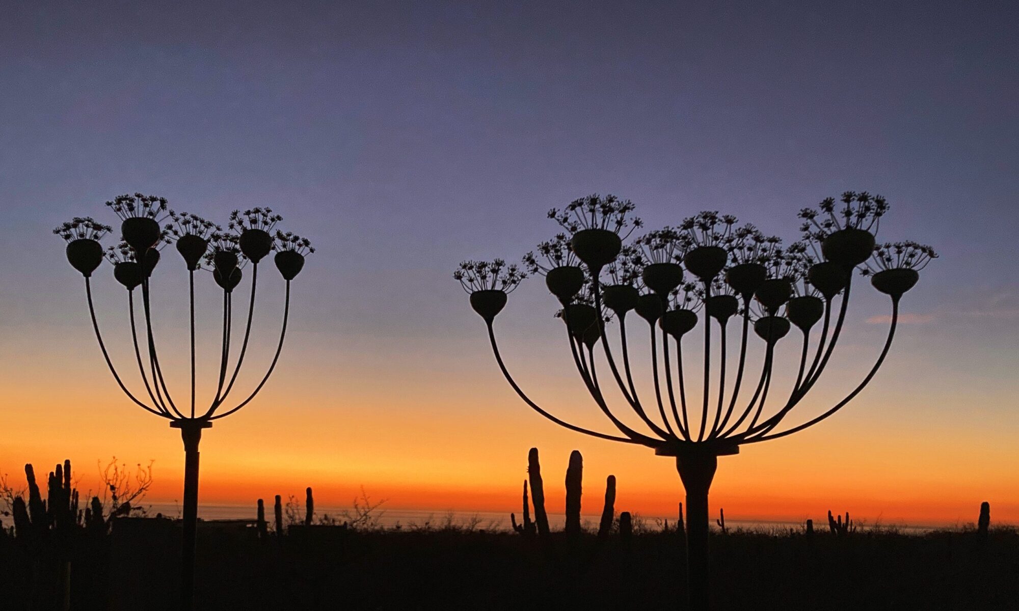 Earth Art Studio where art + nature meet | Todos Santos BCS