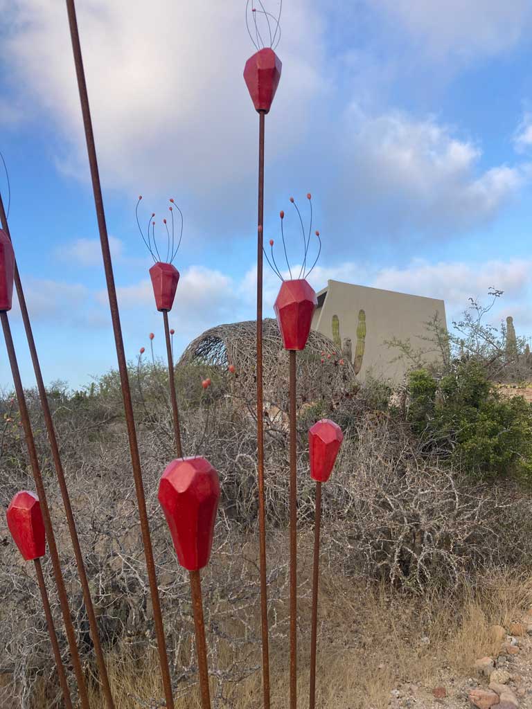 Earth Art Studio where art + nature meet | Todos Santos BCS