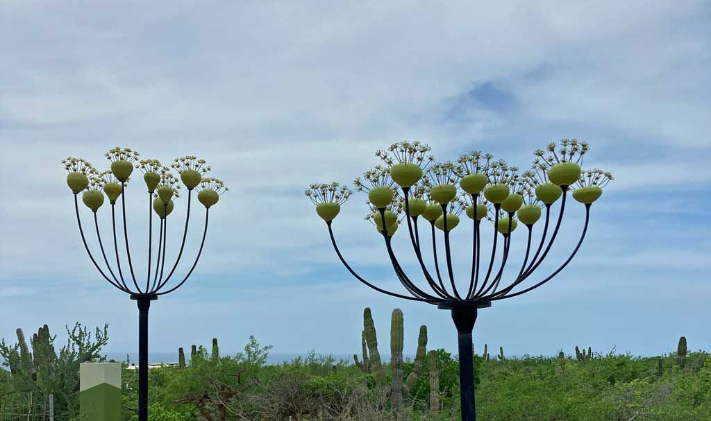 Earth Art Studio where art + nature meet | About | Todos Santos BCS
